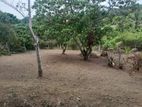 Kadawatha Land for Sale