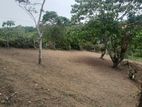 Kadawatha Land for Sale
