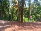 Kadawatha Land for Sale
