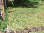 Kadawatha Valuable Residential Land in Town