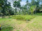 kadawatha webada udupila road best land for sale