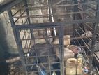 Dog Cage