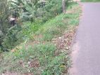 Land for Sale in Kadugannawa