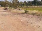 Kaduruwela Town 64 Perches Land Available For Lease