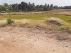 Kaduruwela Town 64 Perches Land for Lease