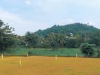 Kaduwela Land For Sale