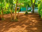 Kaduwela Nawagamuwa 12.3 Perches Land for Sale (SSPL-493)