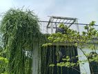 Kaduwela Pahala Bomiriya 03 Storied house on 09 Perches of Land for Sale