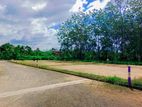 Kaduwela රනාල බස් පාරට 50m Land for Sale