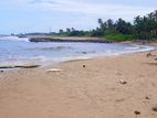 🌊🌴කැබානා ව්‍යාපෘතියට වත්තලින් සුපිරිම ආයෝජනයක්