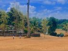 කැකනදුර ඉඩමක් විකිණීමට