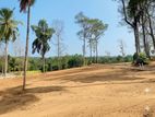 කැකනදුර නගරයෙන් ඉඩම්