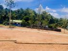 කැකනදුර නගරයෙන් වෙල් යායකට මායිම්ව ඉඩමක්