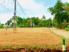කැකනදුර නිස්කලංක පරිසරයකින් ඉඩමක්