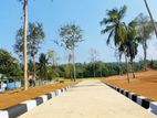 කැකනදුර පදිංචියට හොද ඉඩමක්