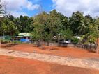 කැකනදුර පදිංචියට හොදම ඉඩමක්