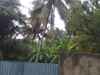 Land Sale in Kelaniya