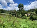 කැප්පෙටිපොළ නගරයට ආසන්න පර් 68ක ඉඩමක්