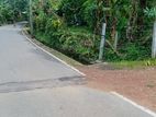 ​කැස්බෑව මාකන්දනින් පර්චස් 63ක අනර්ඝ ඉඩම විකිණීමට