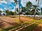 කැස්බෑව නගරාසන්නයෙන් 120බස්පාරට බිම්කොටස් විකිණීමට ඩී