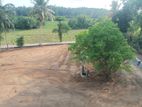 කැස්බෑවට ළගින් සුපිරි බිම් කොටස්