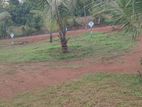 Kahathuduwa , best RESIDENTIAL LAND for sale in weniwalkola school lane