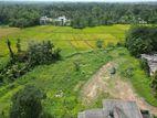 Kahathuduwa Paddy Field Face Beautiful Land Plots Sale