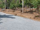 Kahathuduwa , Residential Land for Sale in Weniwelkola School Lane