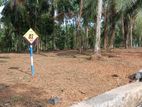 Kahathuduwa RESIDENTIAL LAND for sale in Weniwelkola school lane