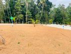Kalagedihena | හොදම ඉඩමක්