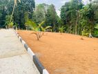 Kalagedihena කොළඹ නුවර පාරට ලගින් වටිනා බිම් කොටස් කිහිපයක් විකිණීමට