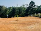 Kalagedihena Land Sale