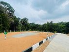 Kalagedihena Land Sale