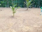Kalagedihena Land Sale