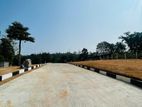 Kalagedihena land sale