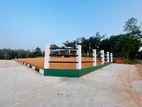 Kalagedihena land sale