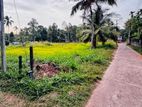 Kalagedihena perfect Residential Block out land for sale