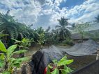 Kalapaluwawa Rajagiriya 7 Perch Land For Sale
