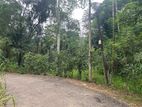 Kalawana Land For Sale