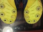 Kalenji spikes