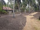 Kalpitiya 03 Acres of Valuable Agricultural Land for Immediate Sale