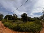 Kalpitiya , Alankuda Beach front Land for Sale