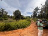 Kalpitiya , Alankuda Beach front Land for Sale