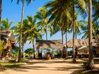 Kalpitiya - Beach Property with 8 Chalets/Rooms For Sale
