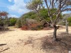 Kalpitiya Dutch Bay Beach Land for Lease