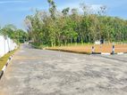 Kaluaggala Highlevel Road Facing Best Residential Land Plots