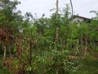Kalubowila 30+ Perches of Land for Sale