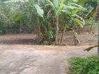 Kalutara : 11.6 Perches Land for Sale at Ethanamadala