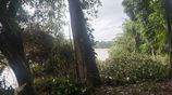 Kalutara 24 Perch Land