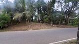 Kalutara 24 Perch Land